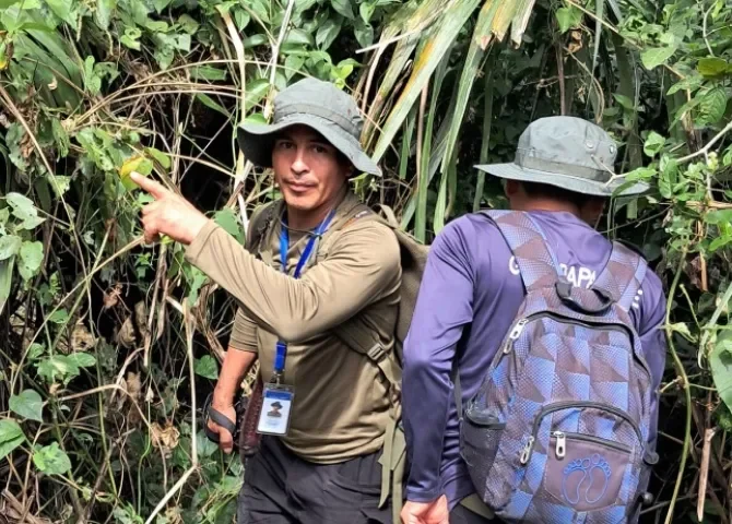  ¡Contra transgresores de la ley ambiental! Intensifican patrullajes en Parque Nacional Camino de Cruces  