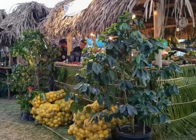  Foto: Eric Montenegro.  