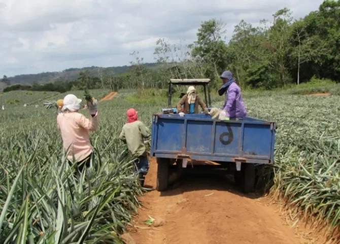  Foto: Eric Montenegro.  