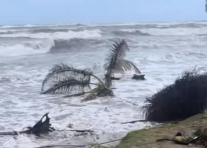   Foto: Diómedes Sánchez.   