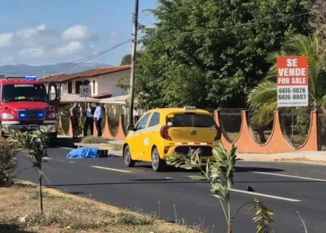  Foto: Thays Domínguez.  