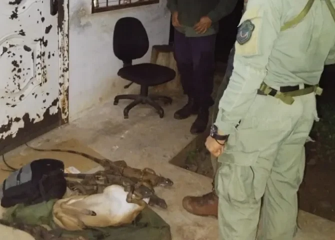  Caza ilegal en área protegida termina con un aprehendido y animales decomisados 