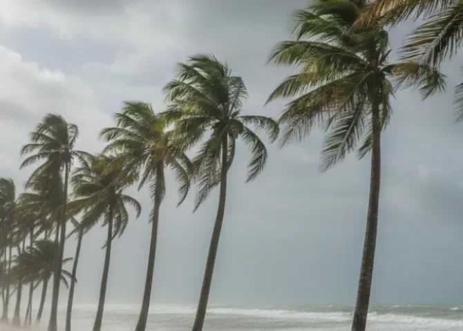  ¡Caribe y Pacífico bajo vigilancia! Sinaproc e IMHPA emiten aviso por vientos 