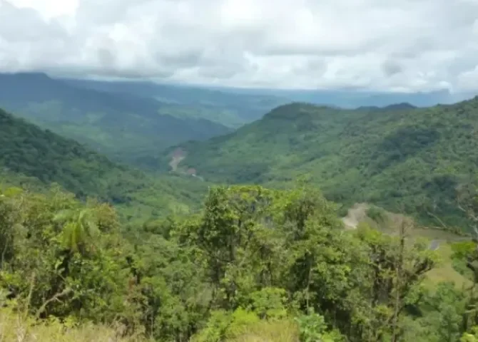   Foto redes sociales.   