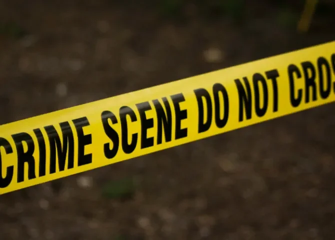   Foto:Pexels/Kat Wilcox  