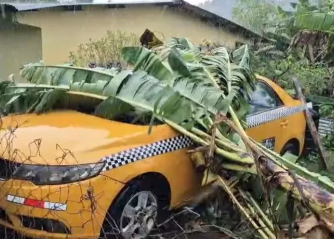  Foto: Diómedes Sánchez.  