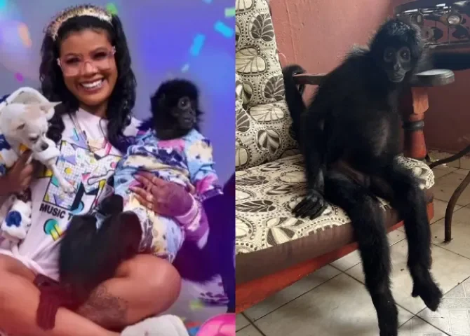  '¡ME LA MATARON!' Carlienis estalla contra MiAmbiente tras fallecimiento de su mona Karol 