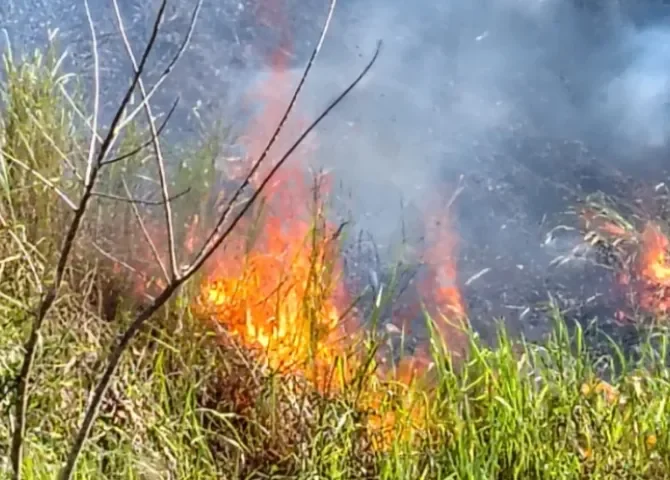   Foto: Bomberos de Panamá.   