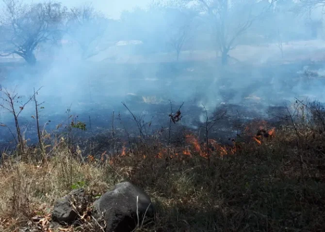  Foto: Bomberos de Los Santos. 