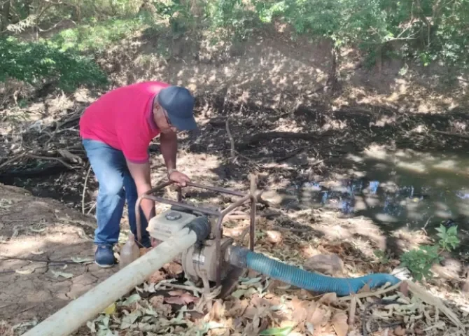  Sequía pone en riesgo cultivos en El Caño, Natá 