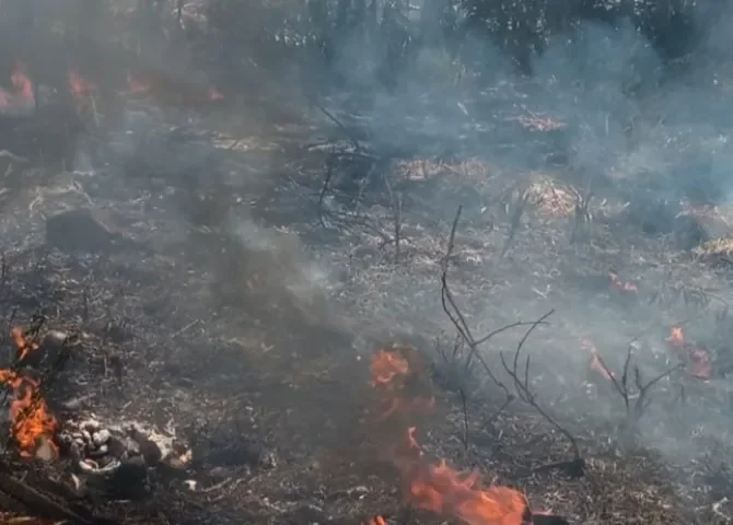  Foto: Melquiades Vásquez.  