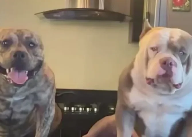  Foto: Diómedes Sánchez. 