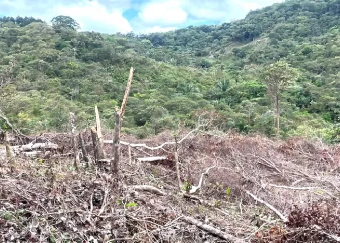   Foto: Thays Domínguez.   