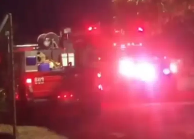  Ataques de abejas africanas generan alarma en comunidades de Colón  