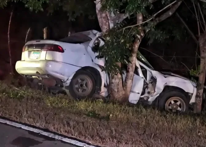  Foto: Thays Domínguez.  