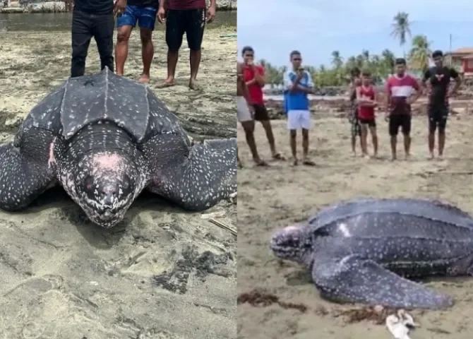   Foto: Diómedes Sánchez.   