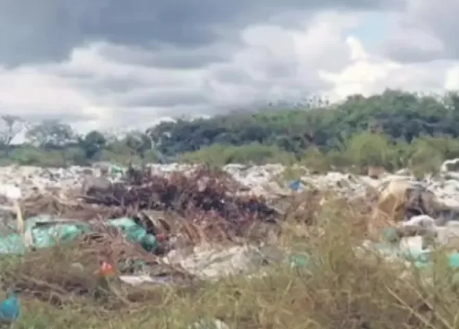  Foto: Eric Montenegro.  