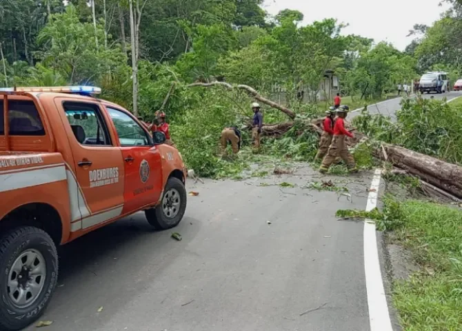   Fin de semana movido, bomberos responden a 275 emergencias en Panamá  