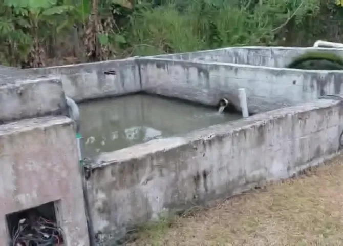  Foto: Eric Montenegro.  