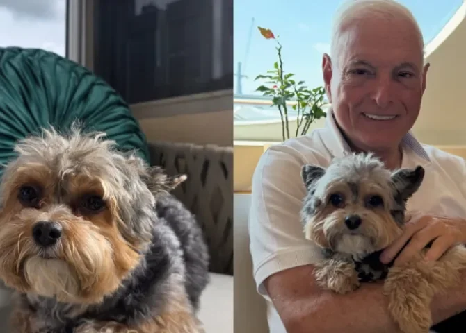  Bruno, el perrito de Ricardo Martinelli falleció tras ser atacado por otro perro 
