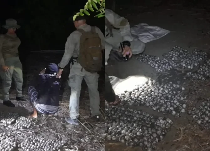   Fotos: Policía Nacional.   