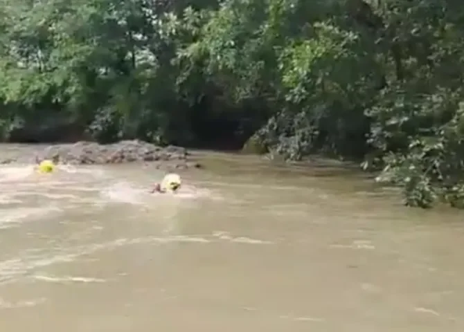  Foto captura de video.  