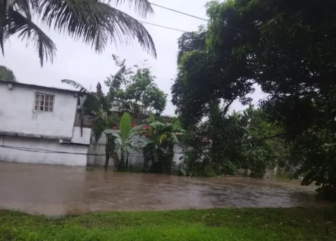   Foto: Diómedes Sánchez.  