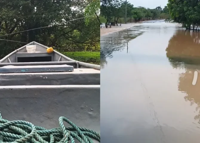  Aprehenden a sospechoso con dos motores fuera de borda presuntamente hurtados en Palo Seco 