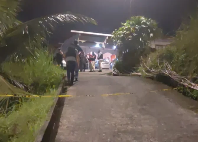  Foto: Diómedes Sánchez 
